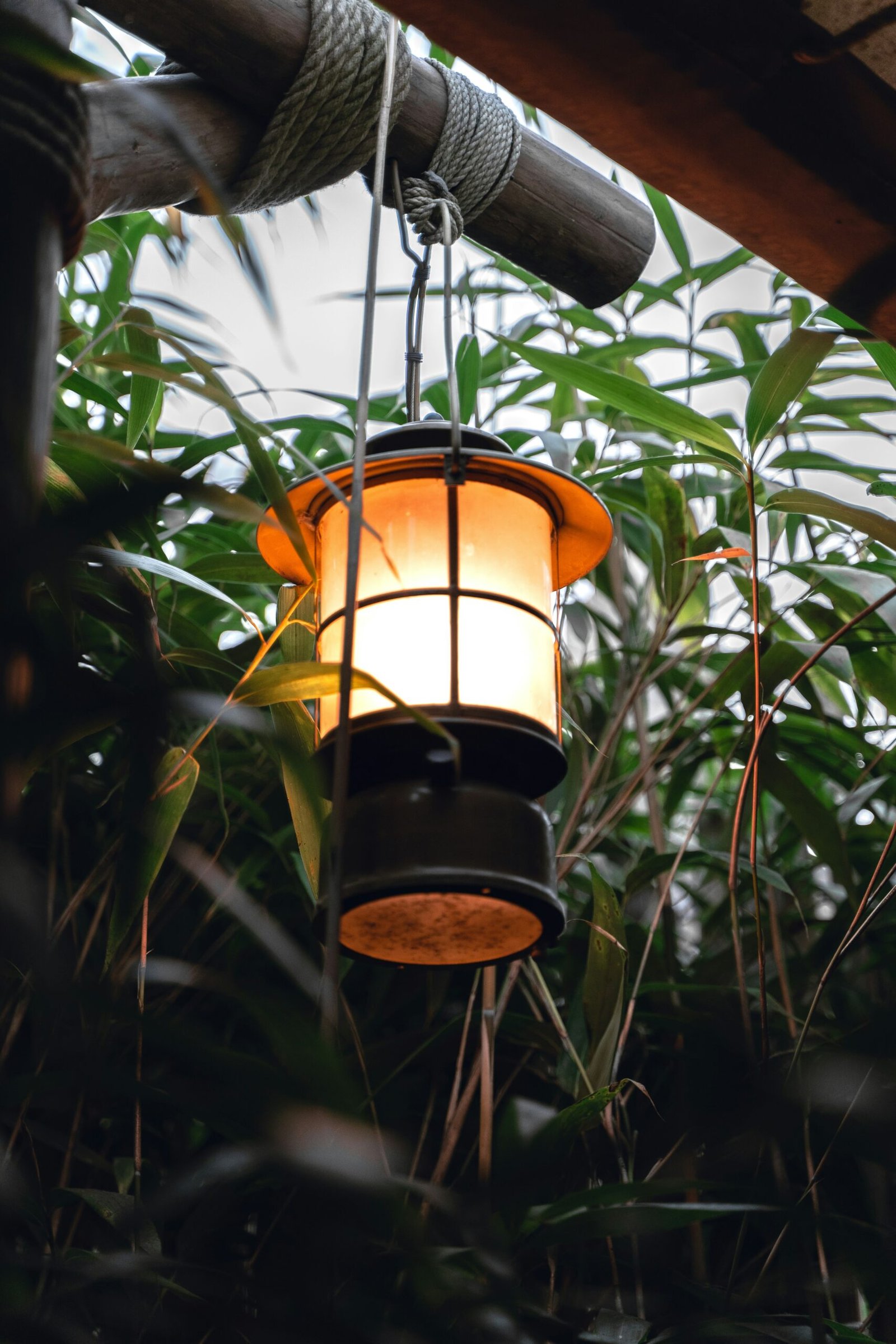 a-lamp-hanging-from-a-ceiling-in-a-jungle-scaled Indiana Jones y el gran circulo: ¿Qué es el gran círculo de Indiana Jones?